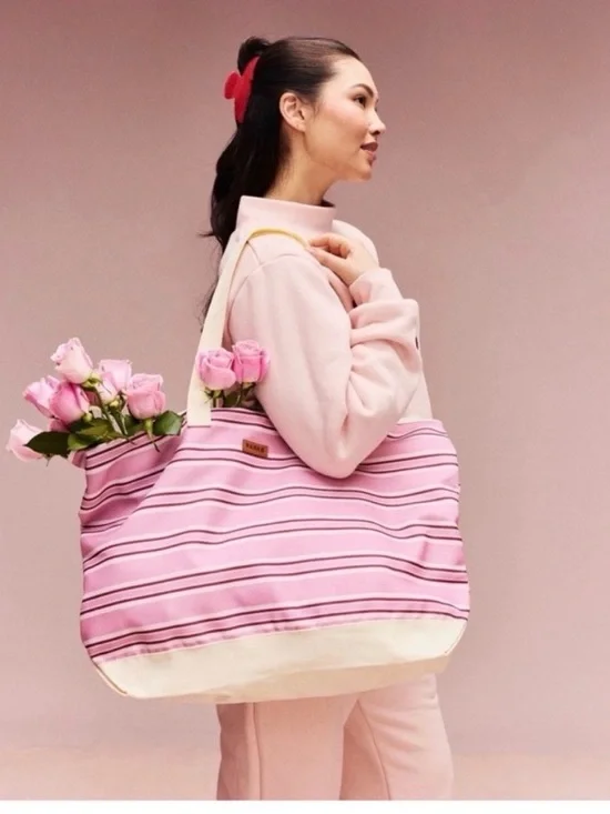 Parke Pink Striped Canvas Tote Bag Valentines Day 2026 - Picture 1 of 7